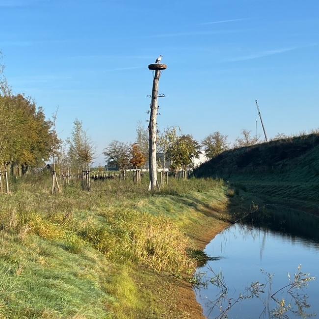 Het Ooievaarsnest onderdeel van Kunstige dieren aan de Zeesweg