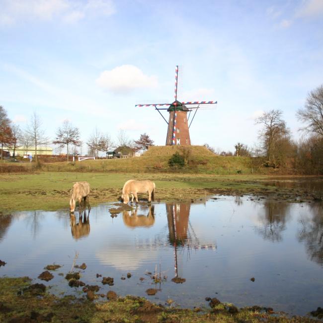 19. Schravenpad naar Kaldenbroek