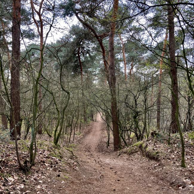 08a. Landschapspad 't Ham