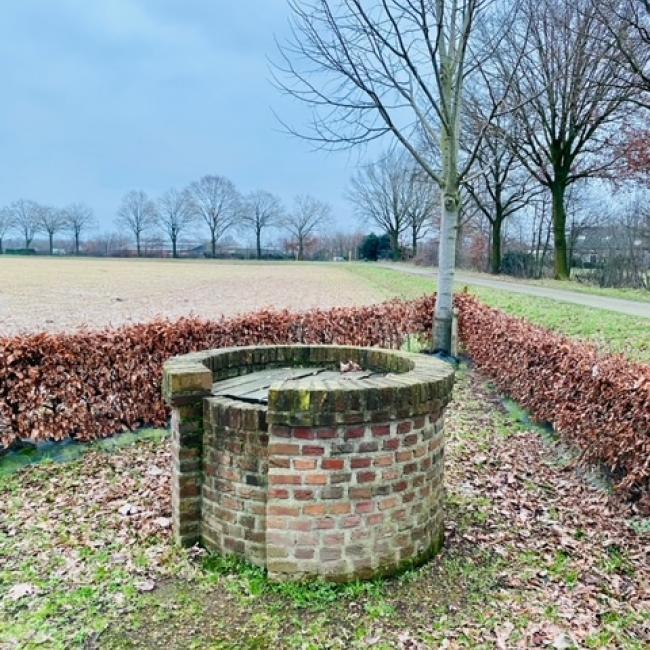 Rowwen Hèze