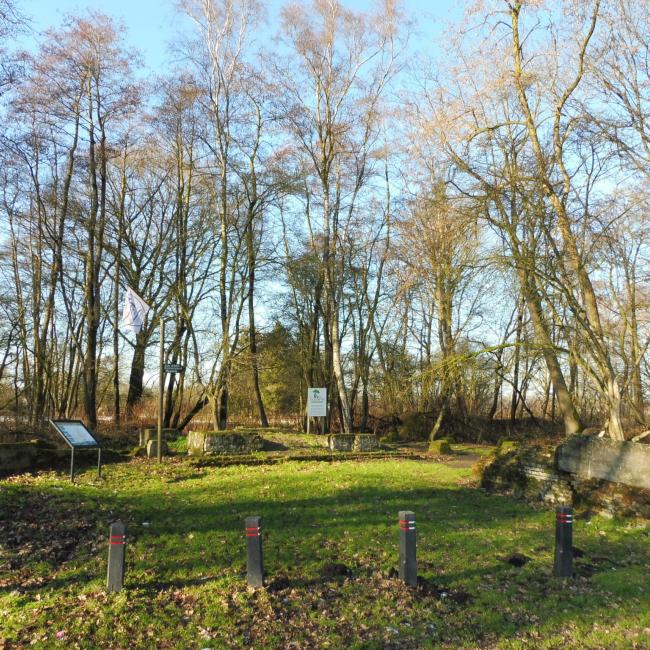01. Door Peel en Griendtsveen