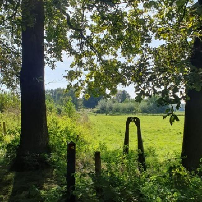 Uitzicht brengt inzicht