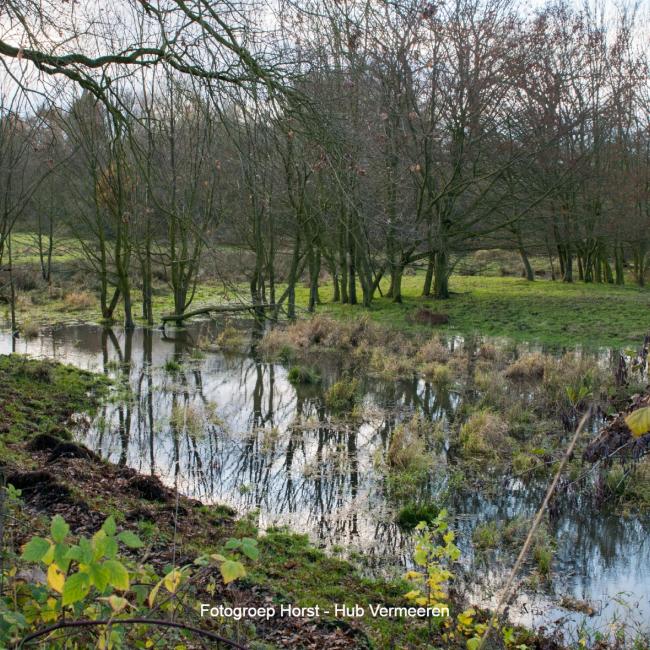 10. Bruggetje bij de Molenbeek