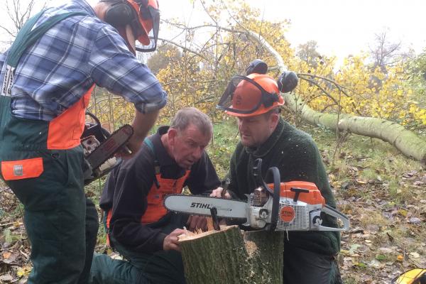 Cursus motorkettingzagen