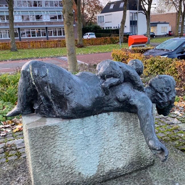 Levensvreugde