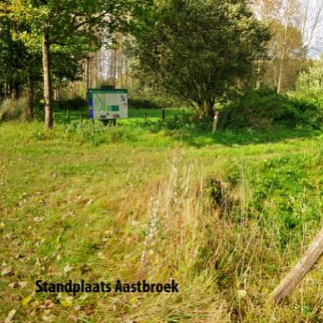 Aastbroek