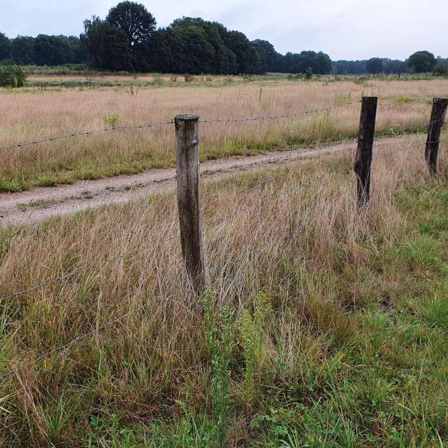 Petranpad doorsteek C