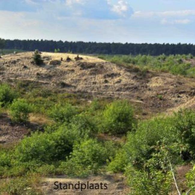 Martinusberg