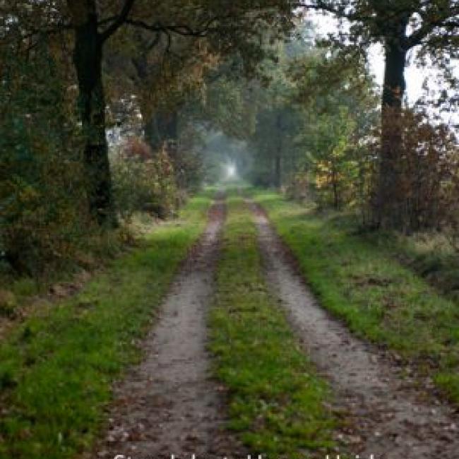 Hooge heide