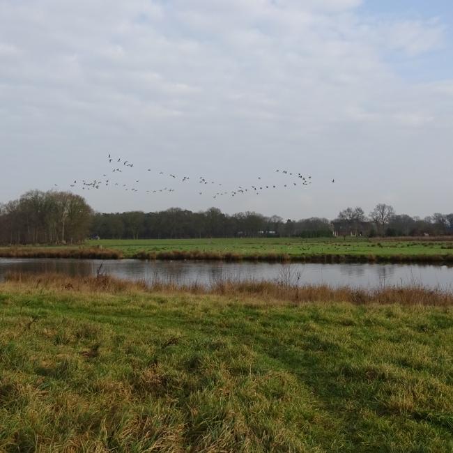 De Oude Maasarmroute