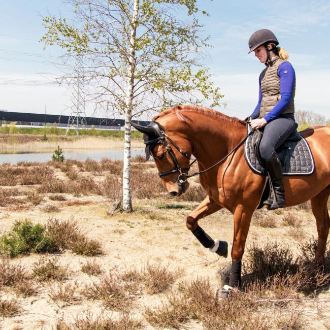 Rondje Greenport Zuid