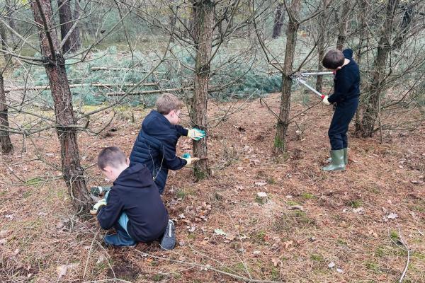 Natuurwerkdag Stip in Swolgen