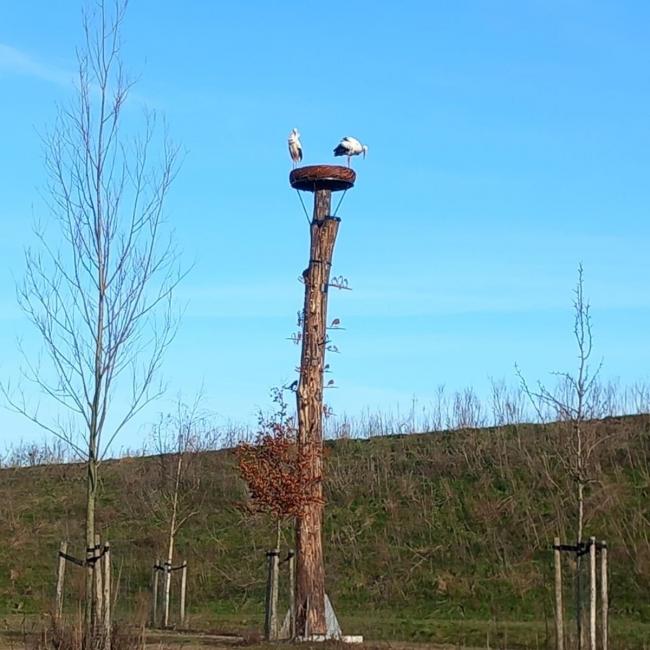 Kunst aan de Zeesweg