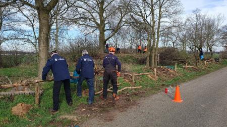 Grafheuvel Meerlo_3.jpg