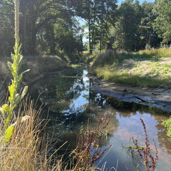 Groote Molenbeek Noord