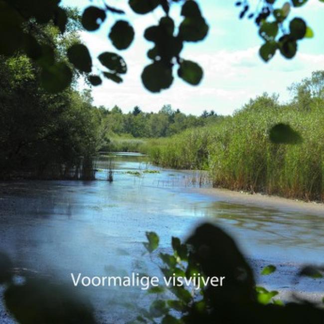 Visvijvers