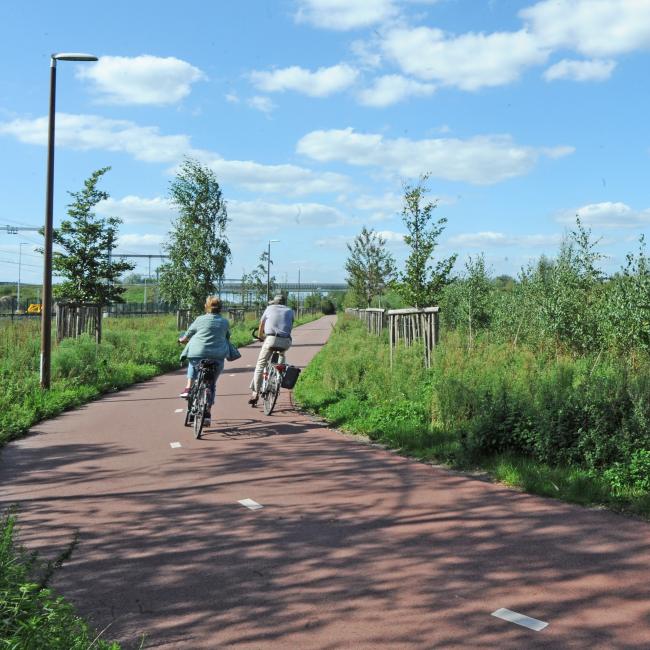 Rondje Greenport Zuid