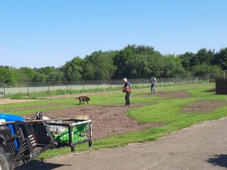 inzaai met de hand.jpg