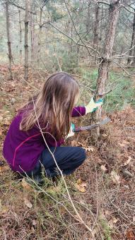 Natuurwerkdagen Stip in Swolgen-1.jpg