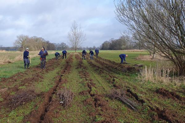 Horst aan de Maas 25.000 bomen en 12 poelen rijker