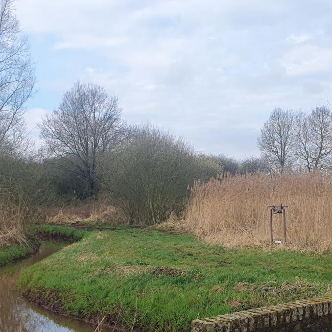 Verbonden met de natuur