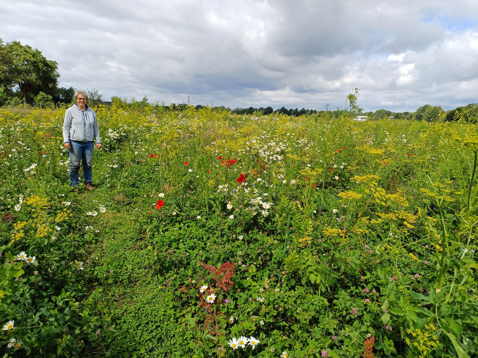 Bloemenlint Losser en Oldenzaal