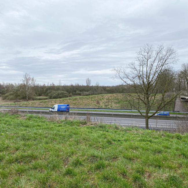 Natuurbrug Eerselsberg
