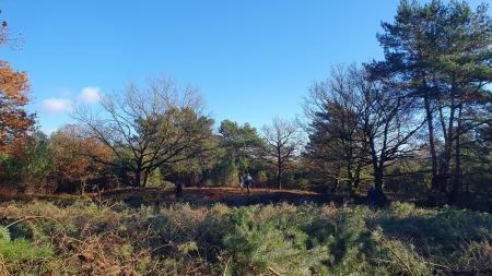 Natuurwerkdag Swolgenderheide.jpg