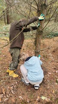 Natuurwerkdagen Stip in Swolgen-3.jpg