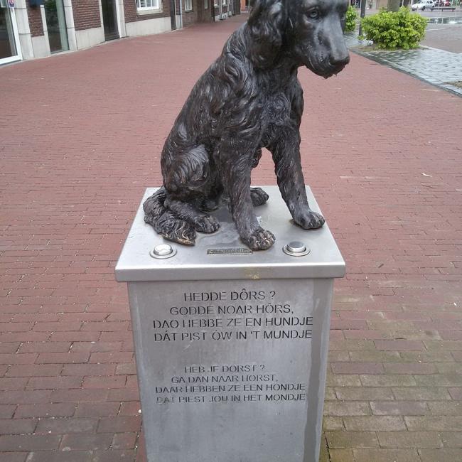 Ommetje dwars door Horst