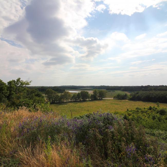 Uitkijkpunt Boekenderberg