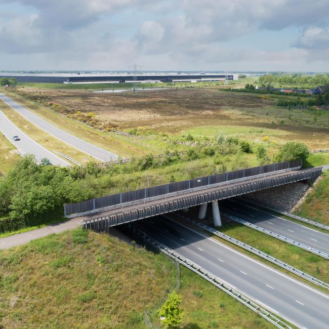 Ecoduct Klavertje 4