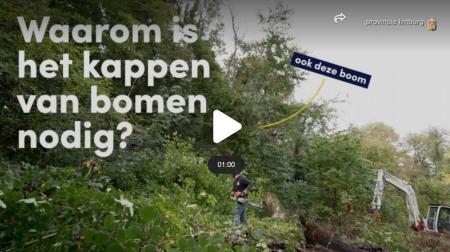 Kappen bomen-provincie Limburg.jpg