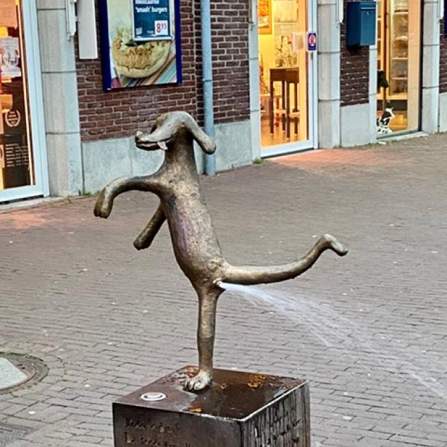 Ommetje dwars door Horst